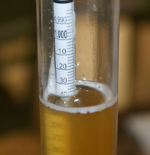 measuring specific gravity with a hydrometer